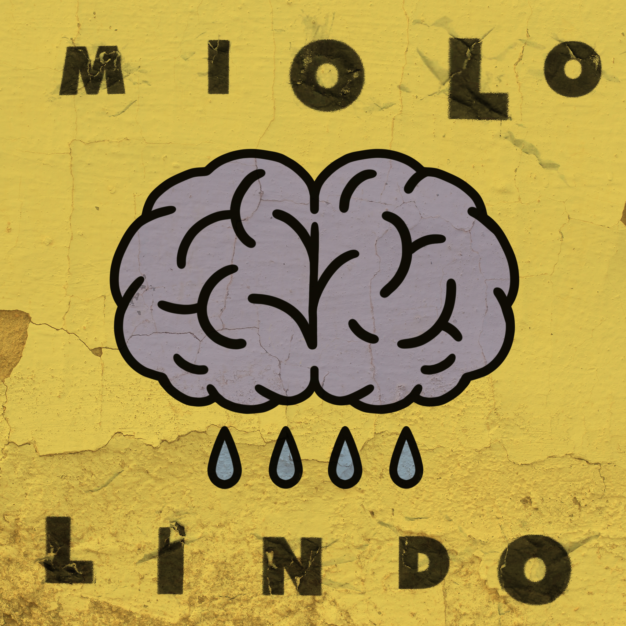 Miolo Lindo